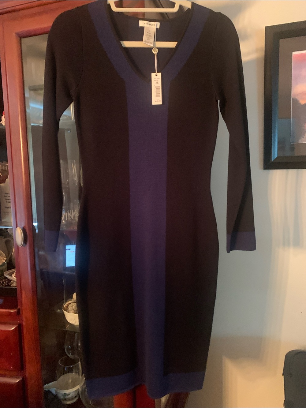 Max Studio Black Dress with Blue Center Stripe and Trim
